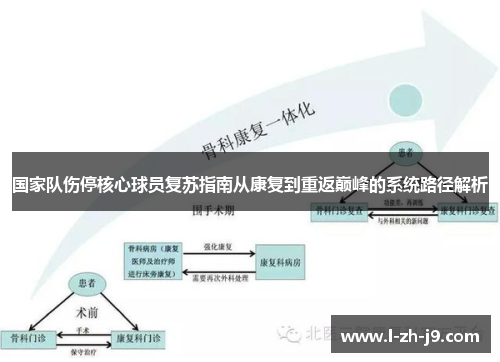 国家队伤停核心球员复苏指南从康复到重返巅峰的系统路径解析 国家队伤停核心球员复苏指南从康复到重返巅峰的系统路径解析